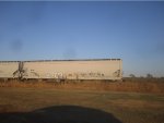 CPCX 814062